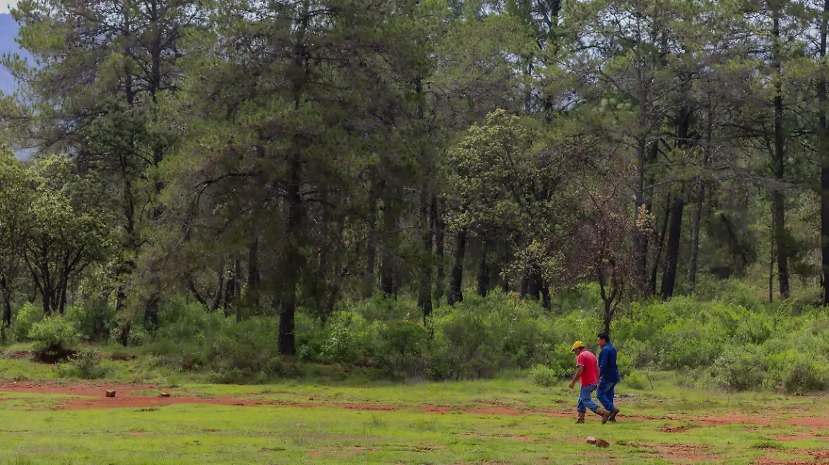 100725_bosque_tenasda_amealco_CO_22