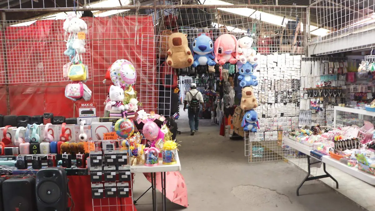 120825_tianguis 5 de mayo_ldvu (10)