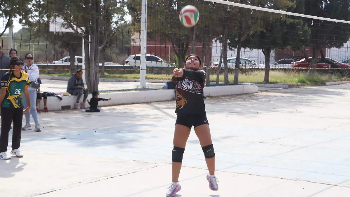 131225_final_voleibol_ldvu (2)