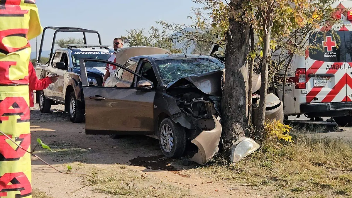 WhatsApp Image 2026-01-06 at 4.24.49 PM