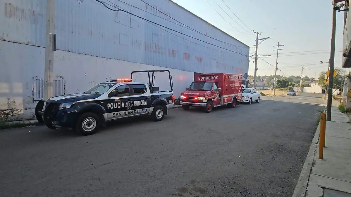 WhatsApp Image 2026-01-08 at 10.01.59 AM