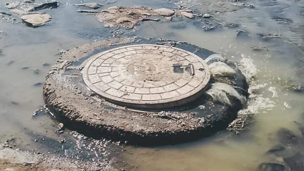 WhatsApp Image 2026-01-08 at 5.16.04 PM