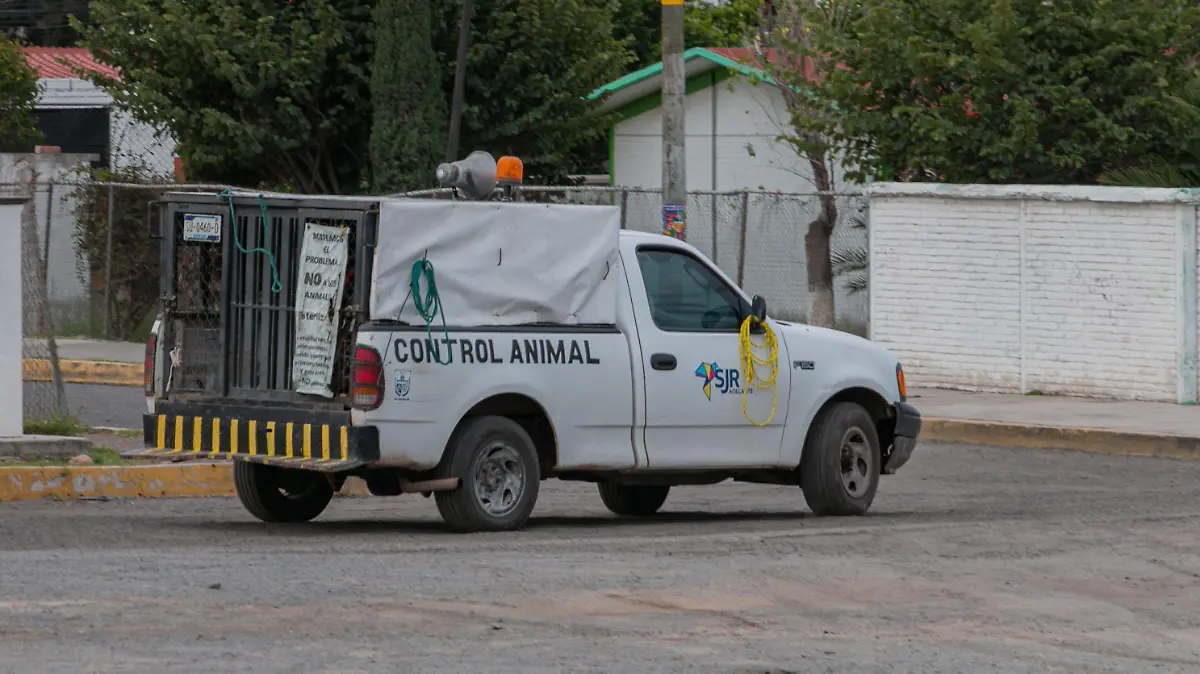 191023_camioneta_control animal_CO_3