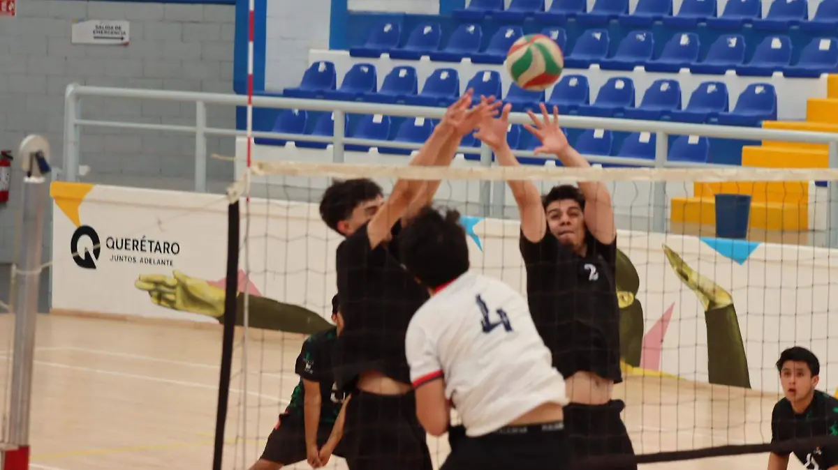 20240511231436_IMG_7374