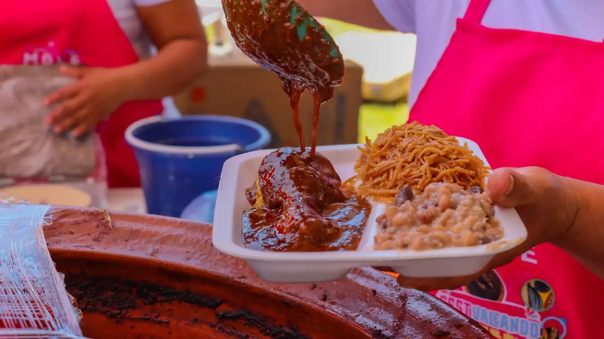 SJR_Participaran representantes