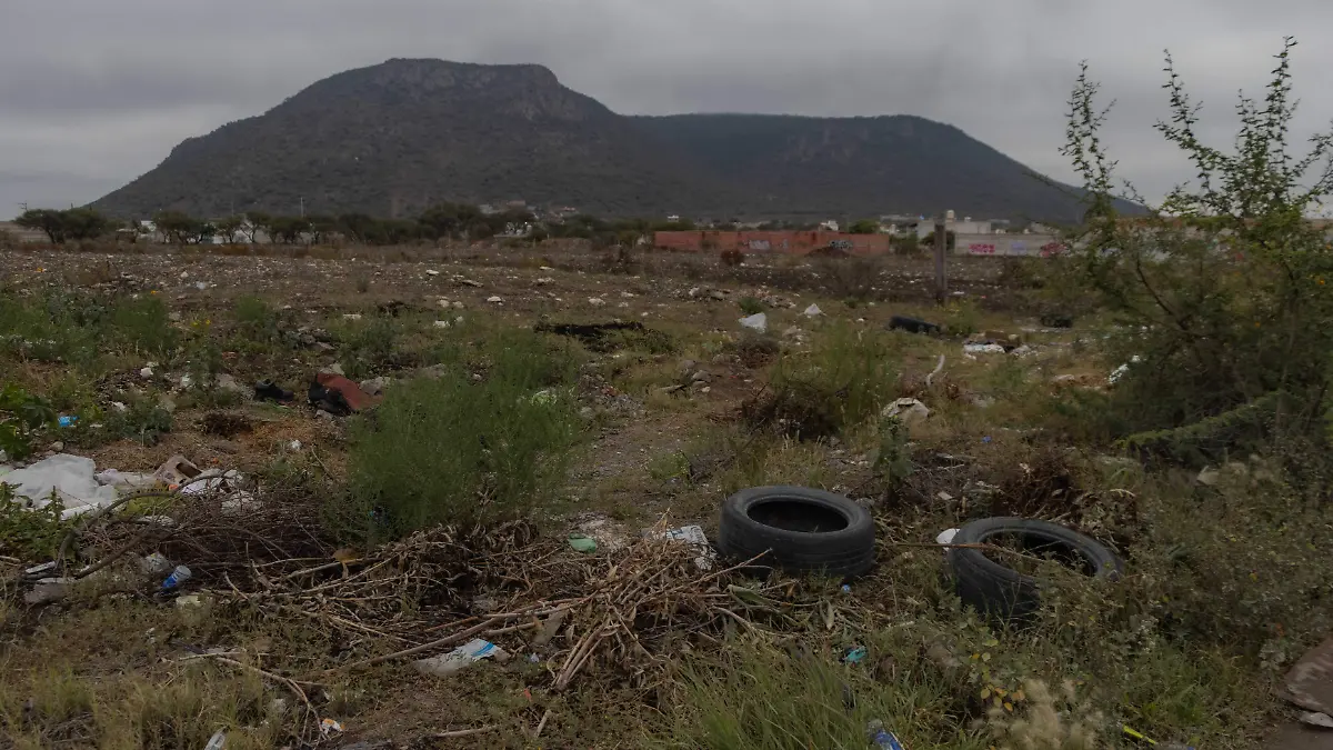 SJR En ocasiones se dan