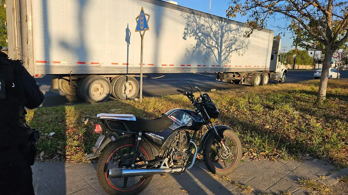 WhatsApp Image 2026-01-16 at 10.22.15 AM