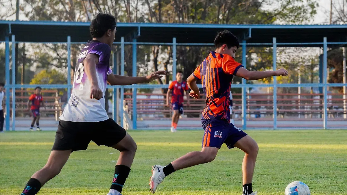 593440810_860167513429454_4568075618947774649_n