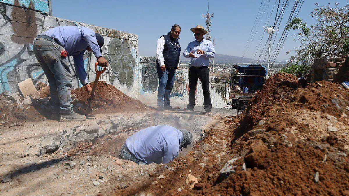 WhatsApp Image 2026-01-17 at 1.34.02 PM