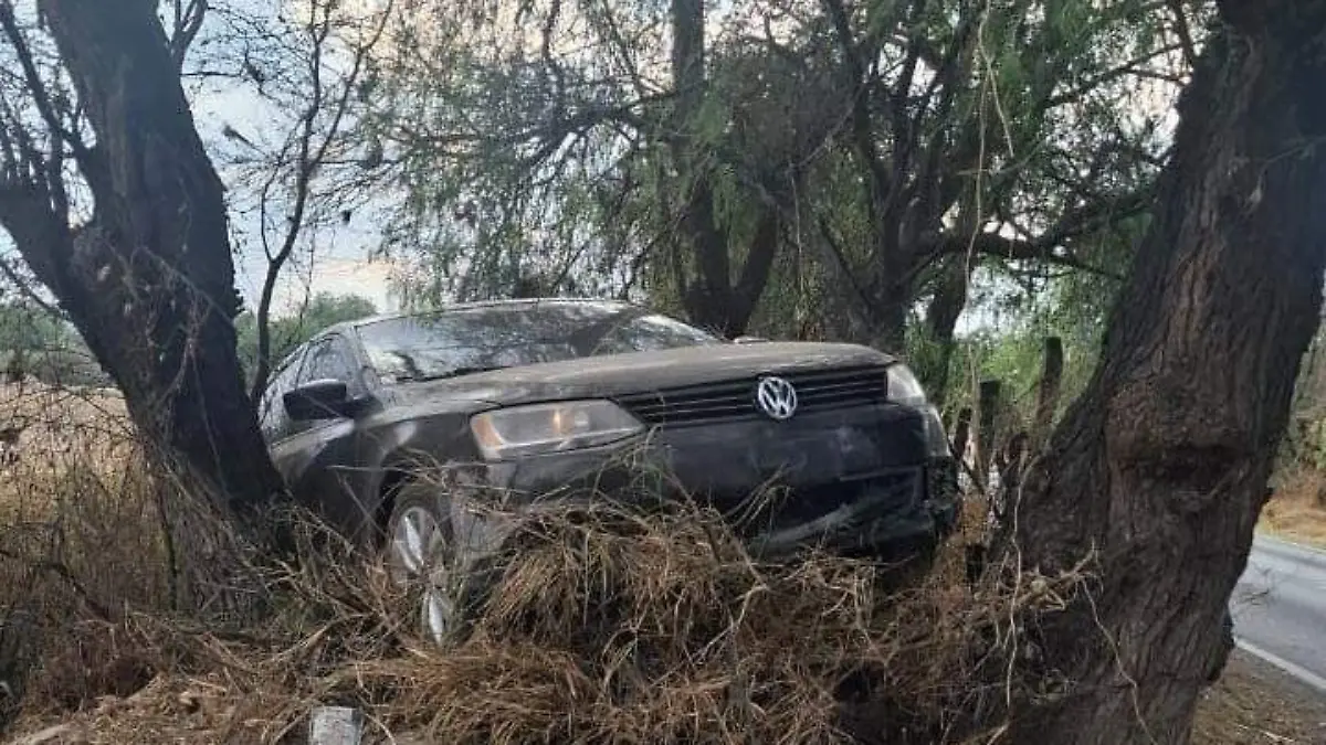 WhatsApp Image 2026-01-16 at 4.38.50 PM (1)