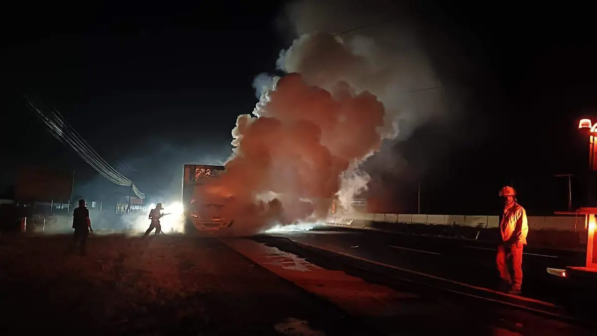 WhatsApp Image 2026-01-19 at 7.54.12 AM