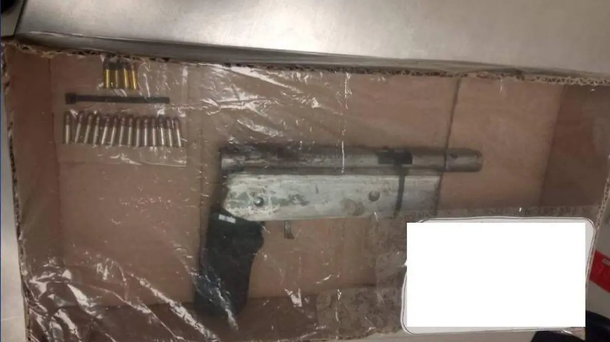 WhatsApp Image 2026-01-20 at 2.50.23 PM