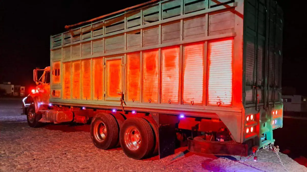 WhatsApp Image 2026-01-21 at 9.54.27 AM