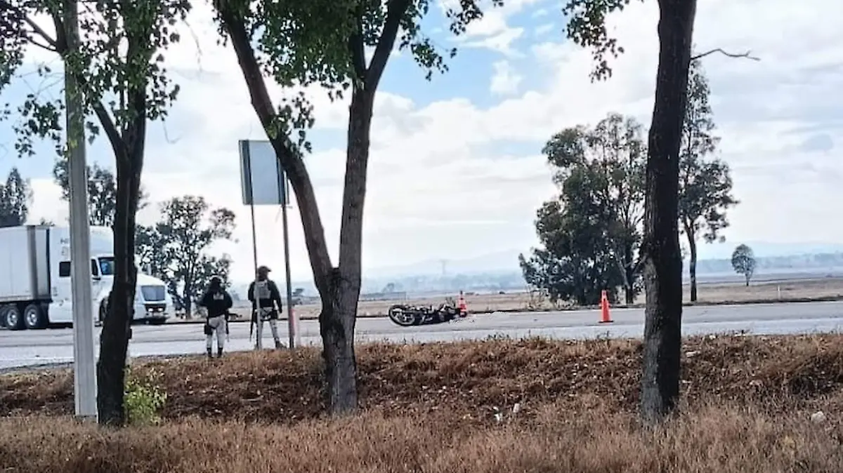 WhatsApp Image 2026-01-21 at 11.29.45 AM (1)