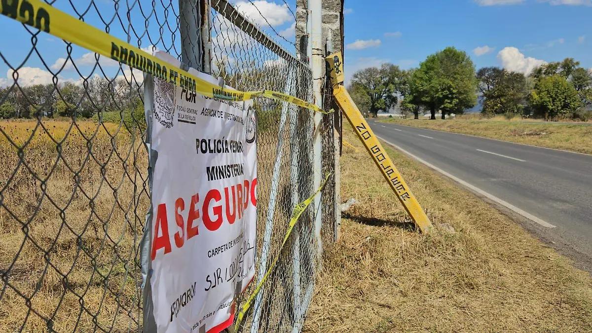 WhatsApp Image 2026-01-21 at 3.13.31 PM