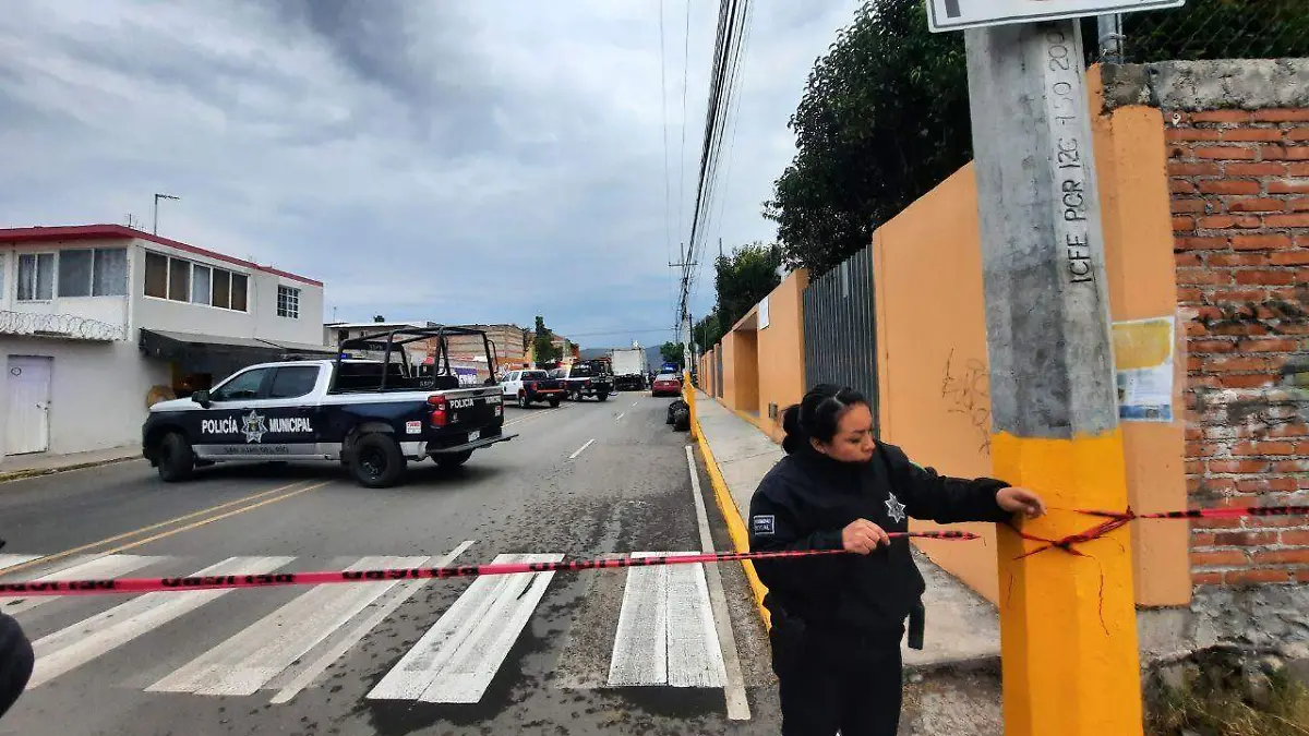 sjr Afirmaron que cada