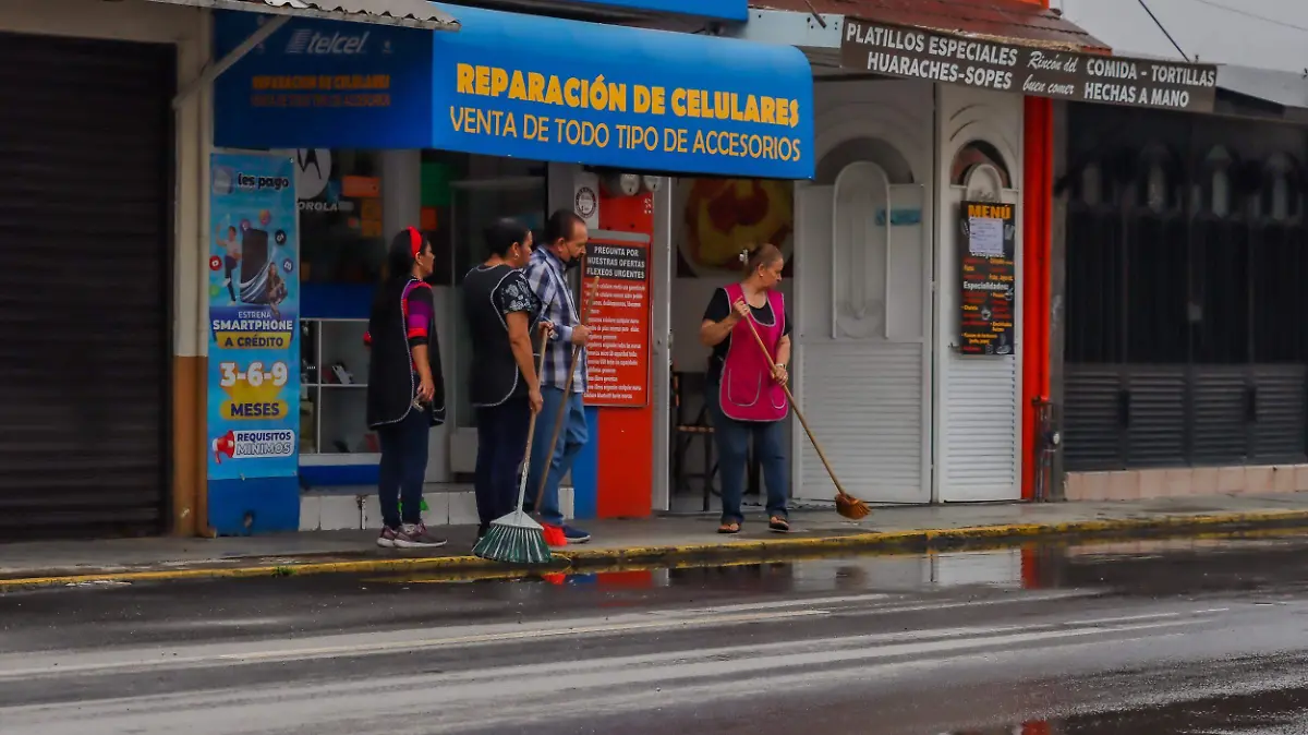 sjr Se trata de generar