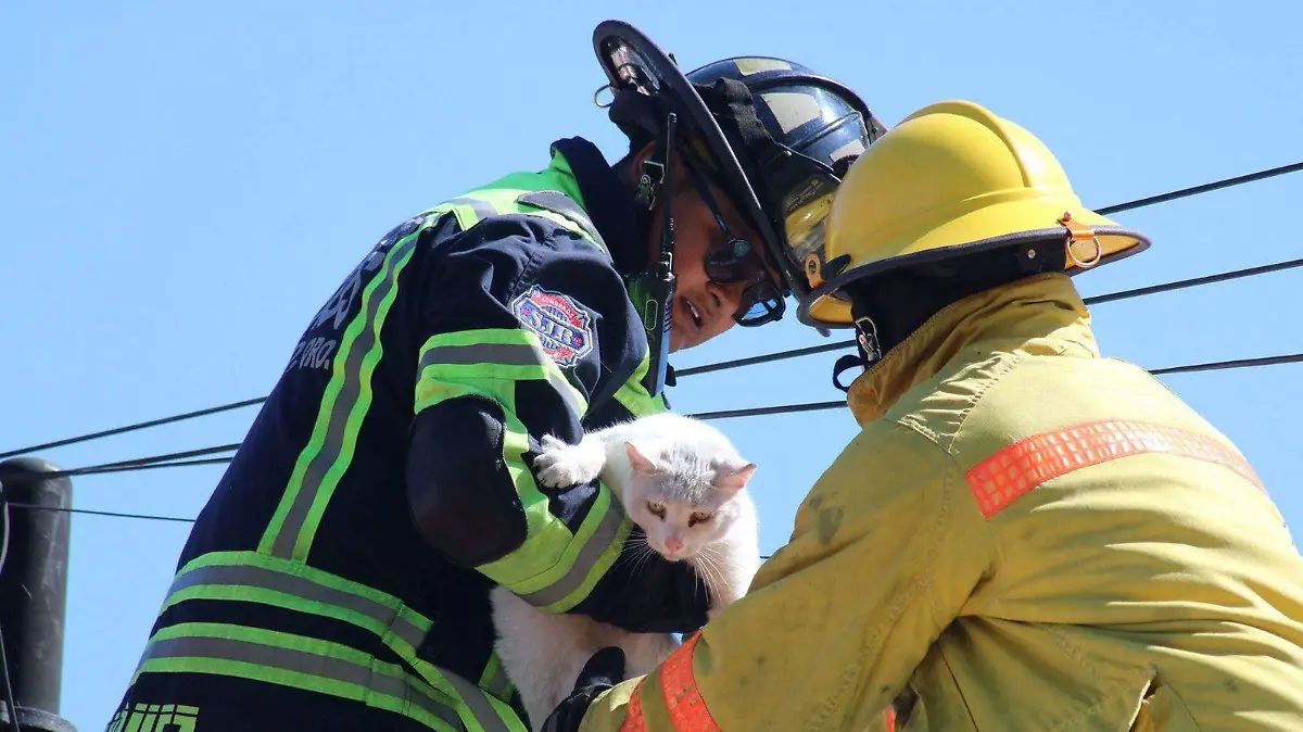 616836030_1315241300647650_1015239731407364441_n