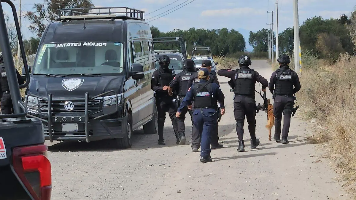 WhatsApp Image 2026-01-23 at 3.53.50 PM