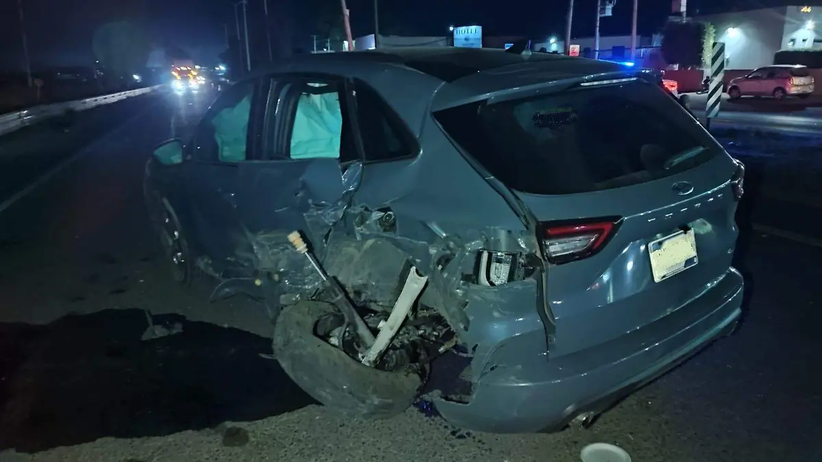 WhatsApp Image 2026-01-24 at 4.54.16 AM