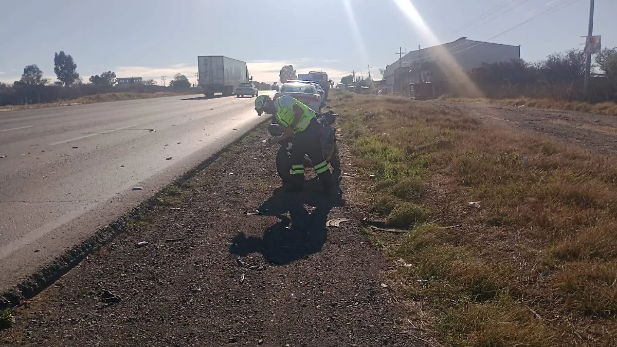 WhatsApp Image 2026-01-24 at 9.22.27 AM (1)