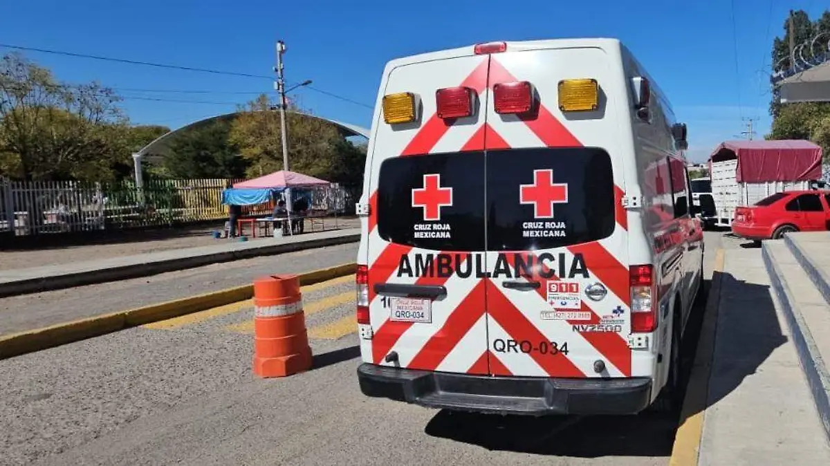 WhatsApp Image 2026-01-26 at 3.29.05 PM