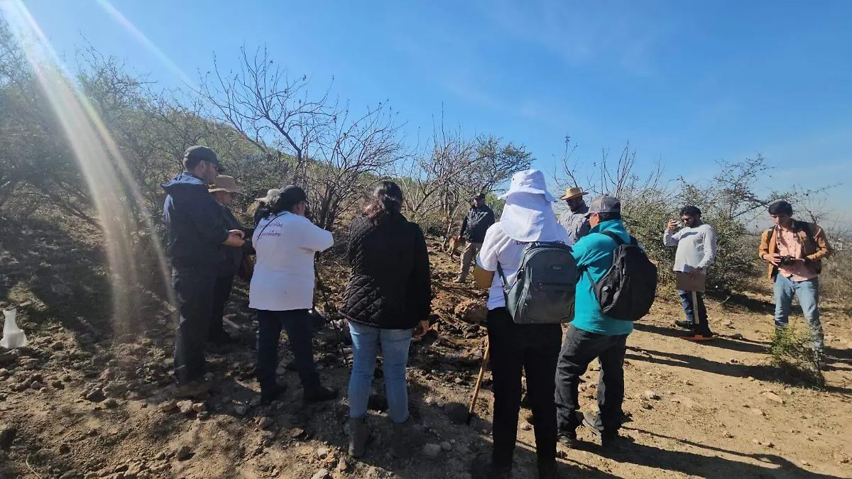 WhatsApp Image 2026-01-28 at 11.36.27 AM (1)