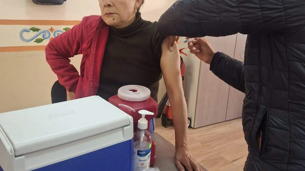 WhatsApp Image 2026-01-28 at 5.03.04 PM (1)