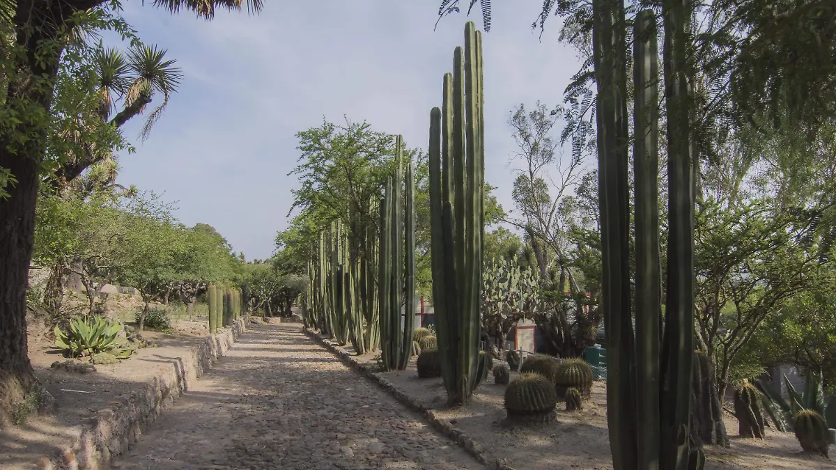 La mirada_Jardin Botanico_CO (11)
