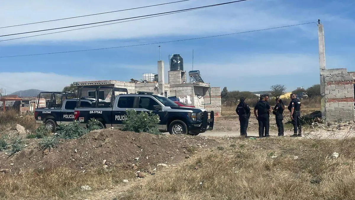 WhatsApp Image 2026-01-29 at 3.13.11 PM