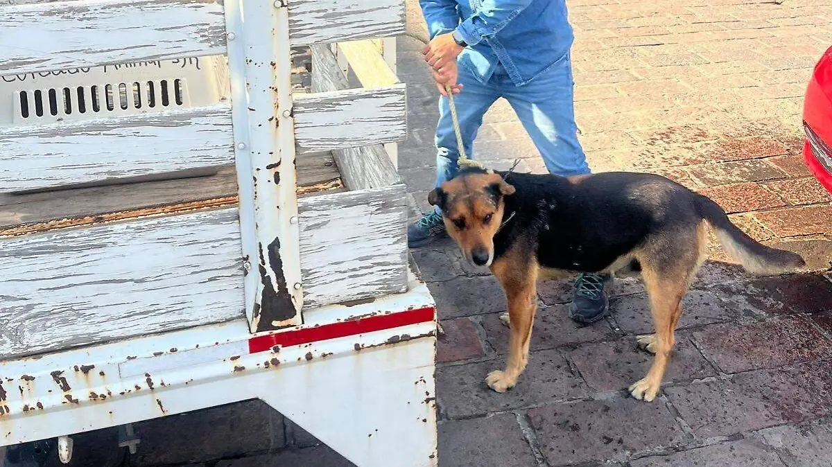 WhatsApp Image 2026-02-02 at 1.48.01 PM (1)