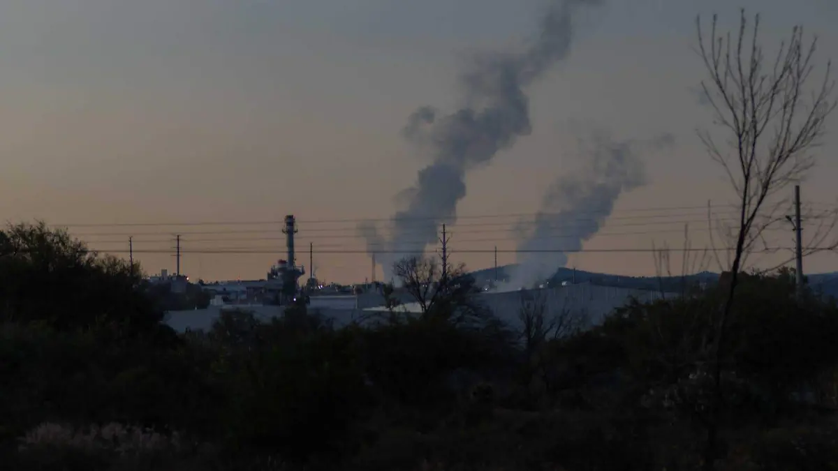 sjr Los ciudadanos aseguran
