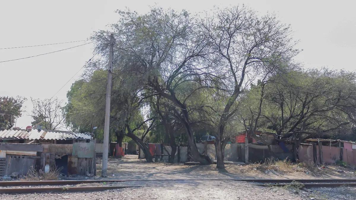 sjr Se tendrá que buscar