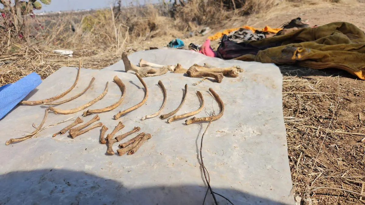 WhatsApp Image 2026-02-04 at 4.35.15 PM