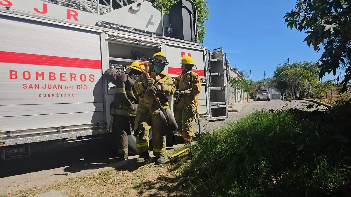 WhatsApp Image 2026-02-06 at 4.36.16 PM