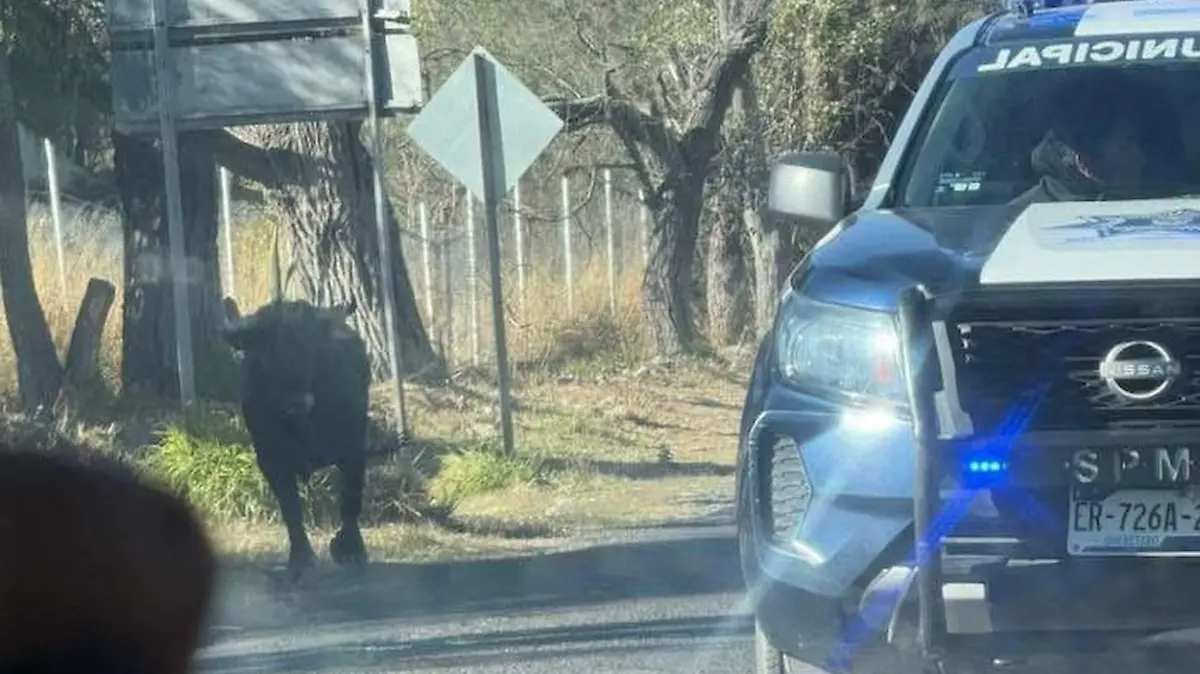 WhatsApp Image 2026-02-07 at 10.03.38 AM (1)