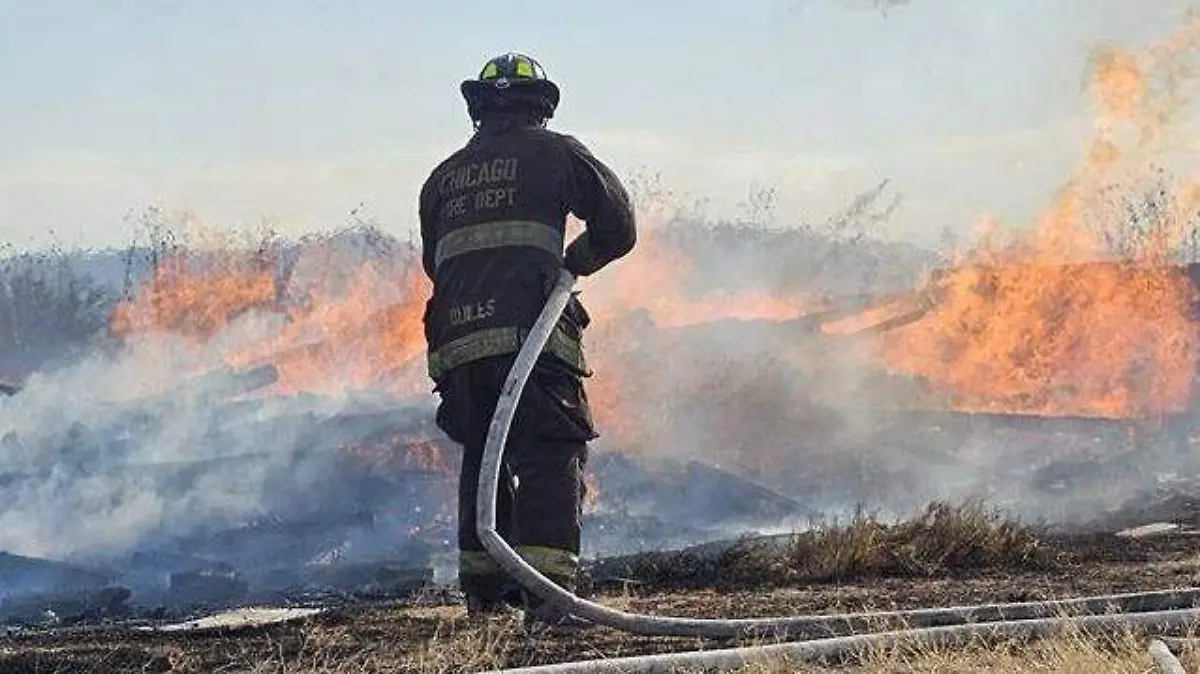 WhatsApp Image 2026-02-07 at 11.18.30 AM