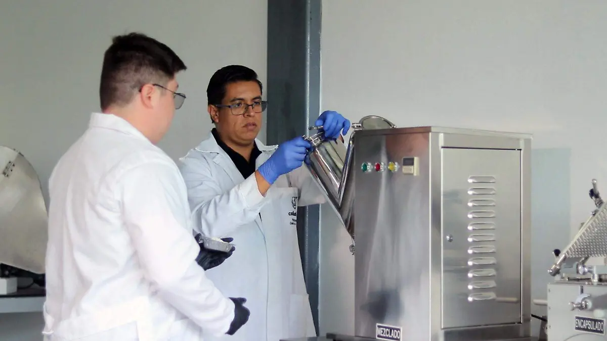 Invitan a los profesionistas