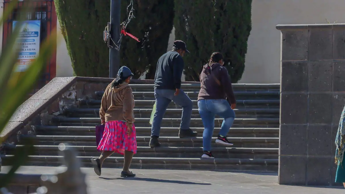 sjr Los adultos mayores