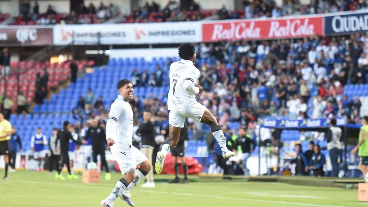 WhatsApp Image 2026-02-07 at 19.12.51