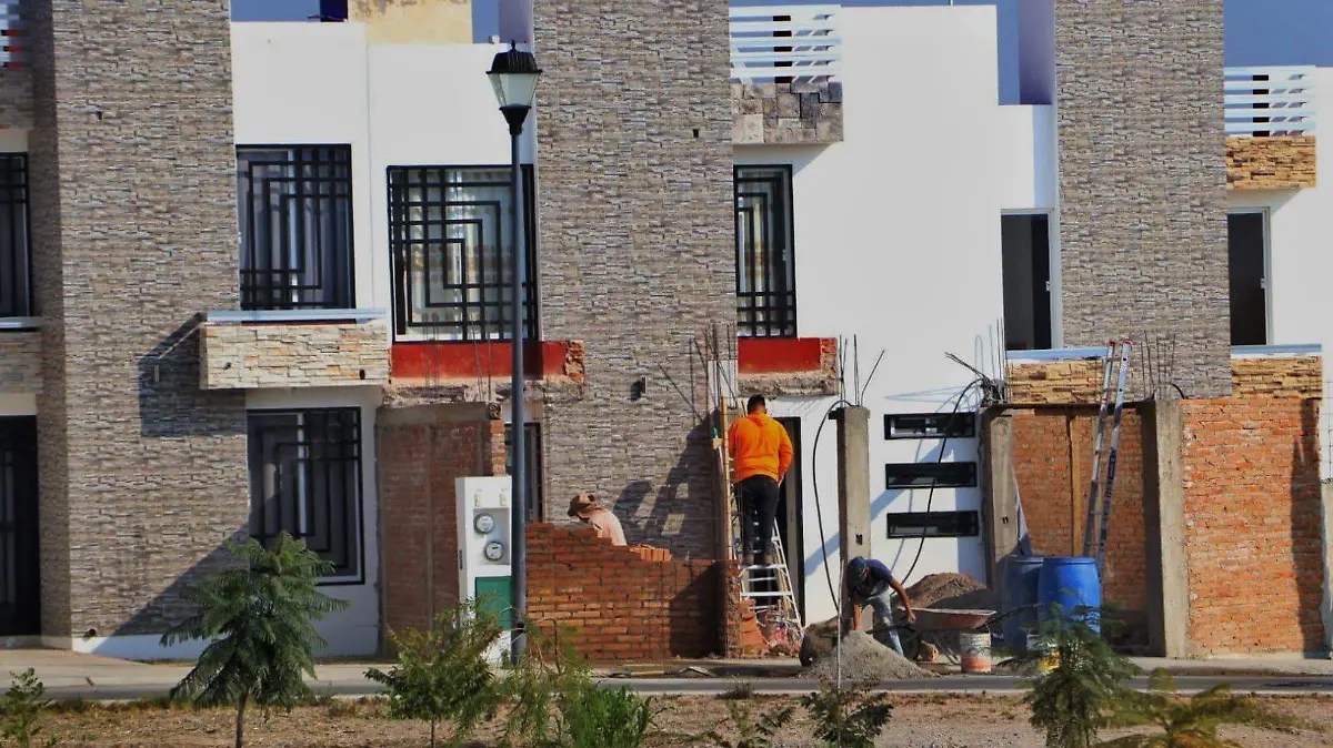 WhatsApp Image 2026-02-08 at 4.30.55 PM