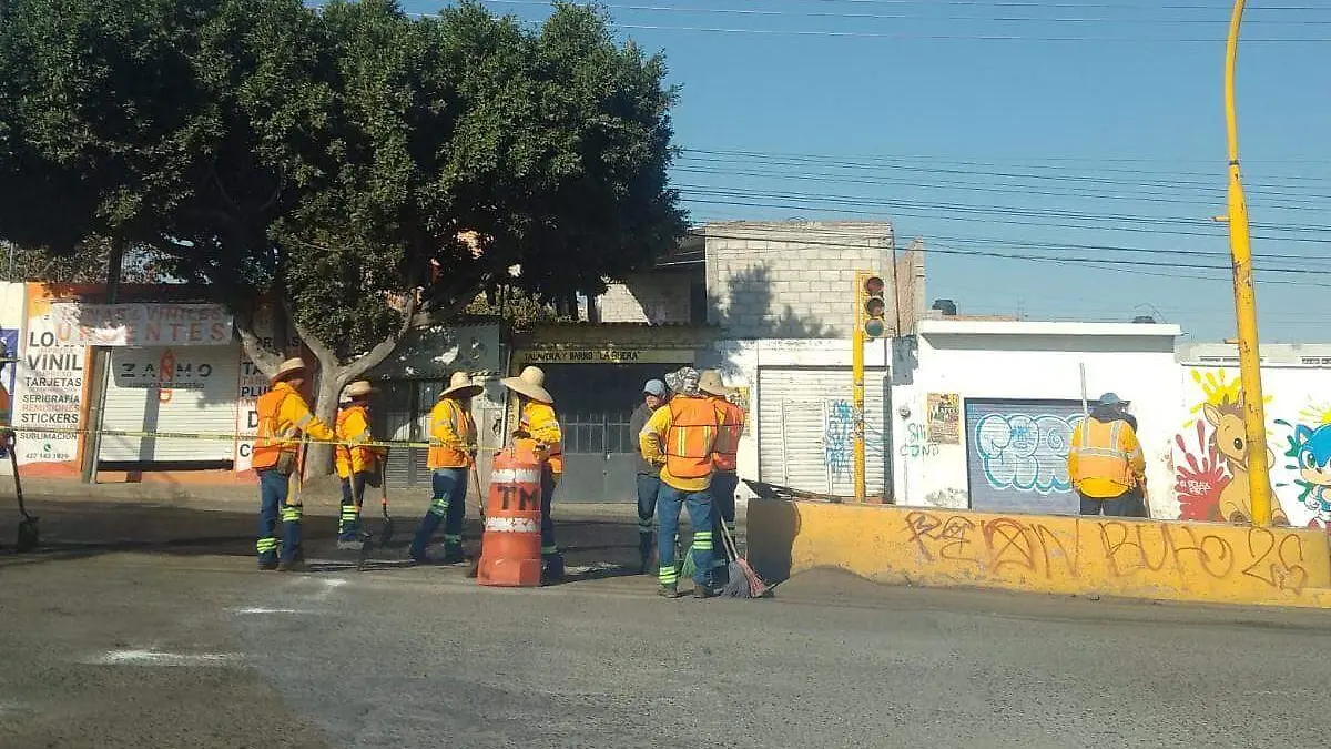 sjr Se trata de arterias