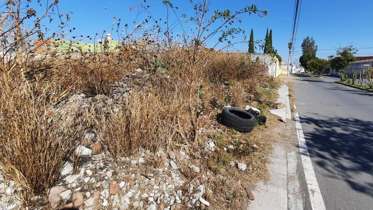 WhatsApp Image 2026-02-09 at 3.03.17 PM