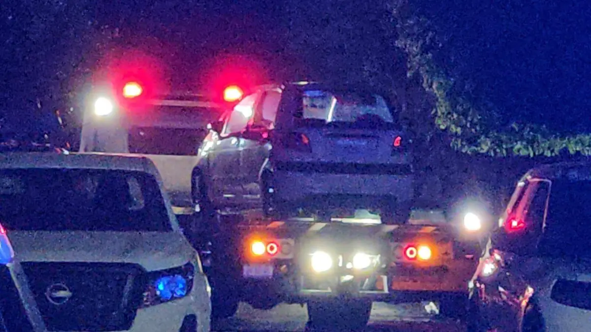 WhatsApp Image 2026-02-10 at 7.50.30 AM