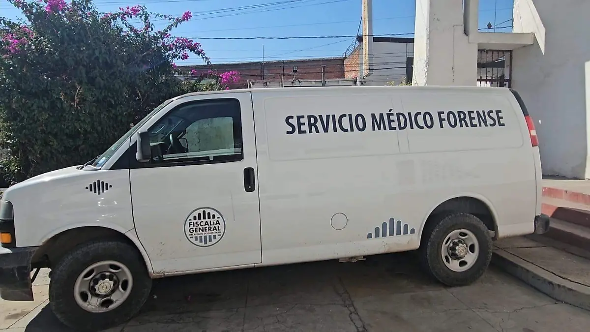 WhatsApp Image 2026-02-10 at 5.47.24 PM