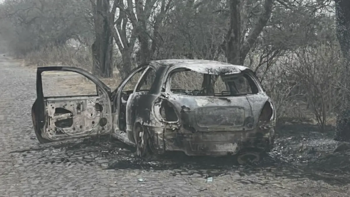 ChatGPT Image 12 feb 2026, 11_18_21 a.m.