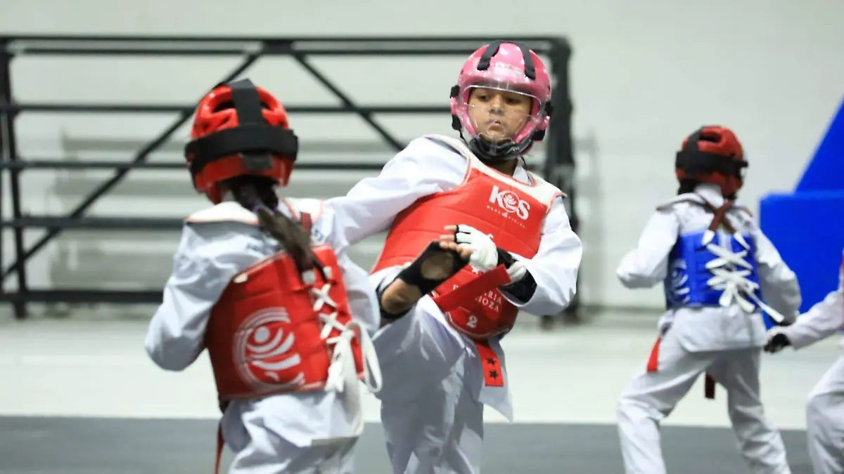 WhatsApp Image 2026-01-16 at 16.04.35 (1)