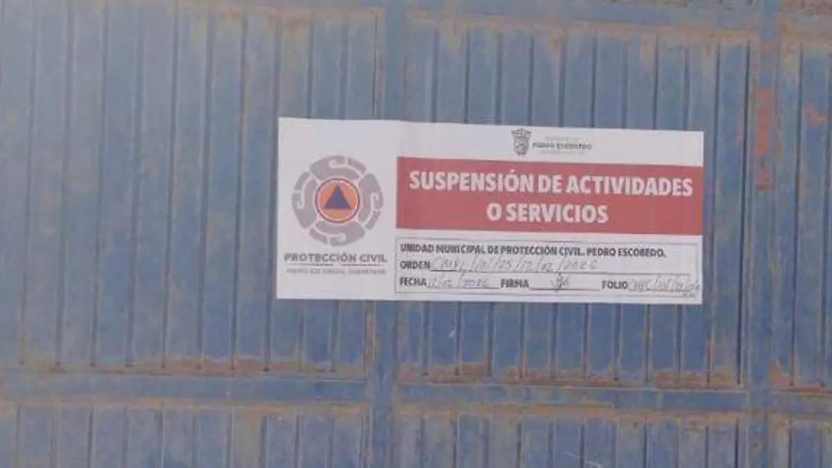 WhatsApp Image 2026-02-12 at 4.44.37 PM