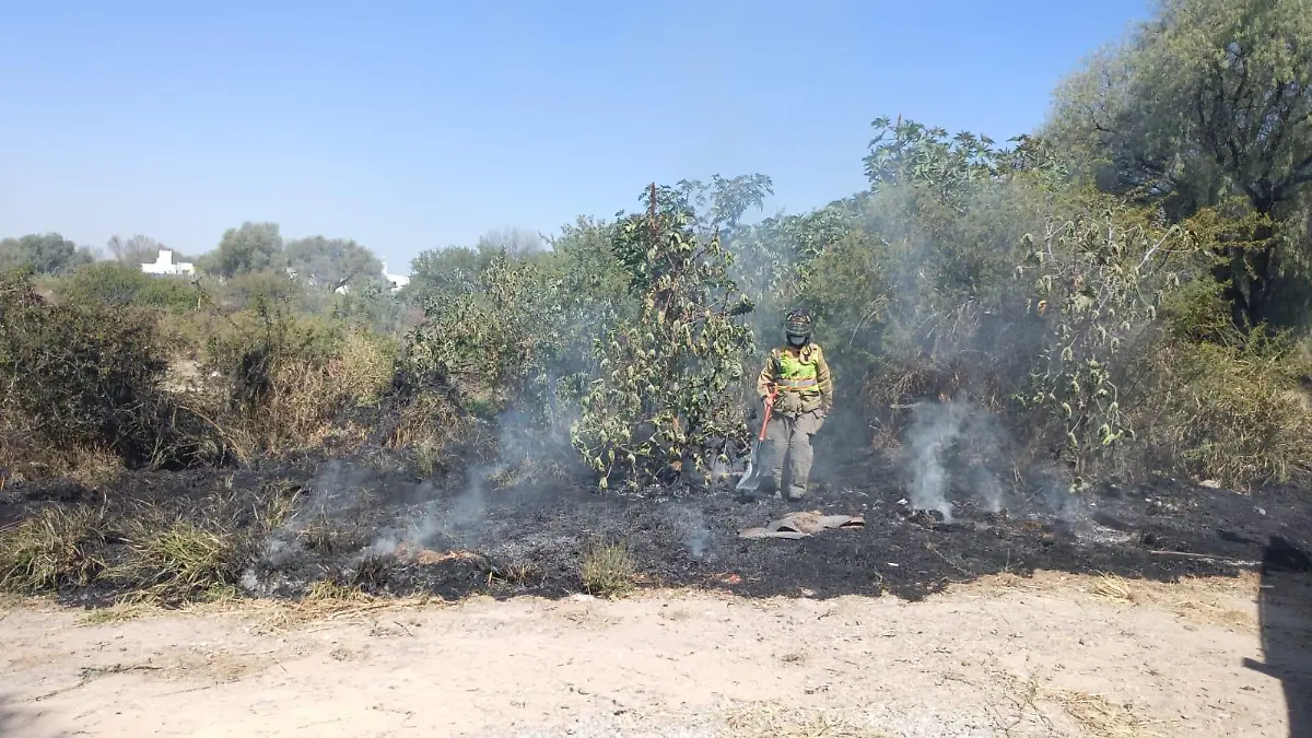 WhatsApp Image 2026-02-13 at 11.31.37 AM