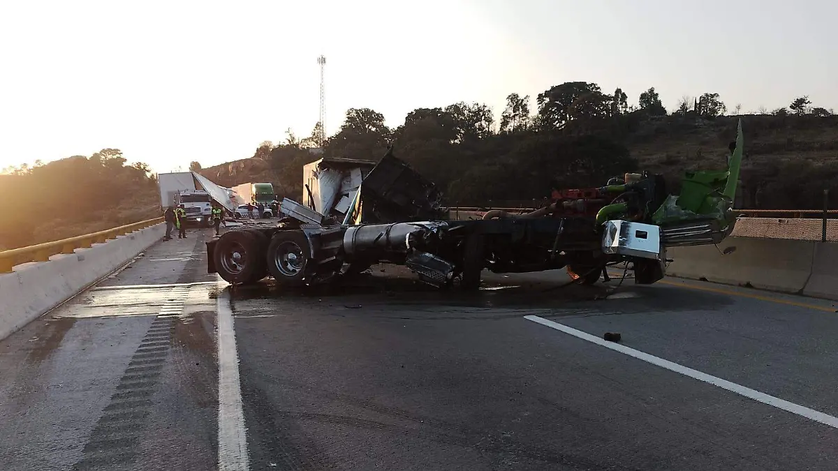 WhatsApp Image 2026-02-14 at 9.22.48 AM